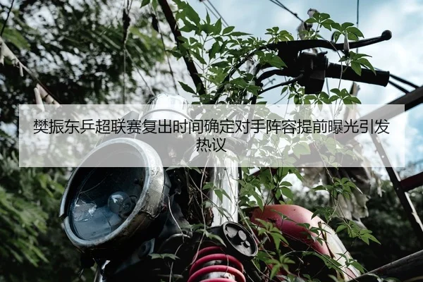 樊振东乒超联赛复出时间确定对手阵容提前曝光引发热议